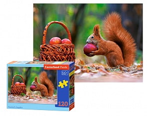 Пазл Белочка, 120 midi элементов (Castorland, B-13302)