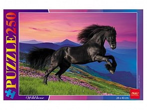 Пазл 250 элементов 28 х 40 см Мустанг (Hatber, 250ПЗ3_10945)