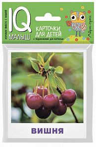 Карточки из серии Умный малыши - Что растёт в саду? (Айрис-Пресс, 26017АП)