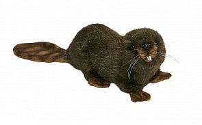 Мягкая игрушка – Бобер, 20 см (Hansa, 3838)