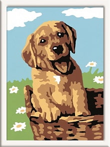 Раскрашивание по номерам «Щенок в корзинке» (Ravensburger, 29532st)