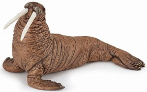 Фигурка – Морж, размер 14 х 9 х 8 см. (Papo, 56030_papo)