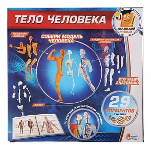 Игровой набор – Опыты: тело человека, 29 деталей (Играем вместе, KY-10002sim)