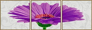 Триптих. Раскраска по номерам - Гербера фиолетовая (Schipper, 9400683)