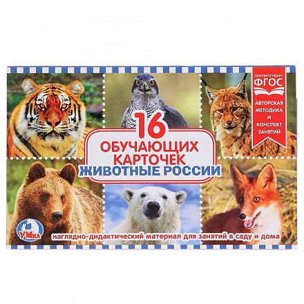 Карточки в папке - Животные России, 16 карточек  