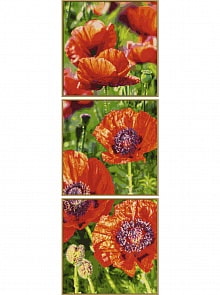 Раскраска по номерам – триптих - Маки, 120 х 40 см (Schipper, 9470740)