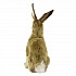 Мягкая игрушка – Кролик, 20 см  - миниатюра №3