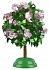 Дерево счастья - Цветущий каштан  - миниатюра №3