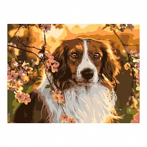 Раскраска по номерам Верность (Lori, Ркн/ф-146)