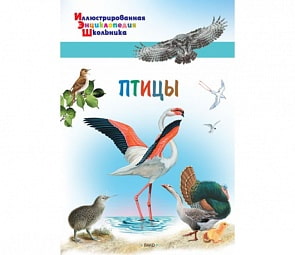 Иллюстрированная энциклопедия школьника – Птицы (Вако, 03580-9)