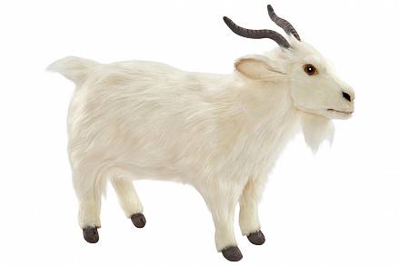 Мягкая игрушка – Турецкая коза, 30 см. 