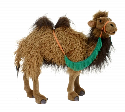 Мягкая игрушка - Двугорбый верблюд, 50 см 