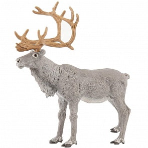 Фигурка - Северный олень, размер 15 х 7 х 9 см. (Papo, 50117_papo)