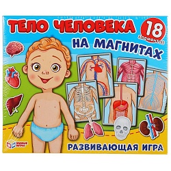 Игра-одевайка на магнитах - Одень куклу - Тело человека (Умка, 4680013714383) - миниатюра