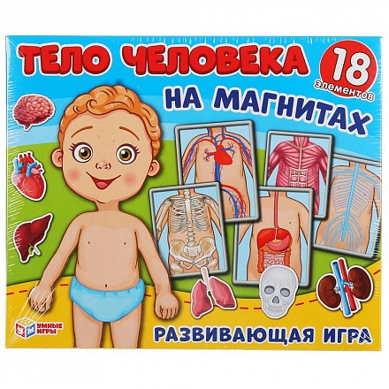 Игра-одевайка на магнитах - Одень куклу - Тело человека 