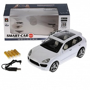 Машина на р/у 553-32 (1710F017) (ассортимент)