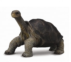 Фигурка - Абингдонская слоновая черепаха, размер M (Collecta Gulliver, 88619)