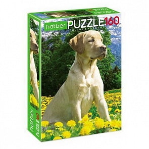 Пазл Eco 160 элементов – Лабрадор (Hatber, 160ПЗ4-22252)