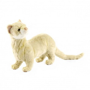 Мягкая игрушка - Хорек кремовый, 25 см (Hansa, 4555)