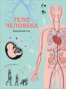 Энциклопедия - Визуальный гид - Тело человека (Росмэн, 36713)