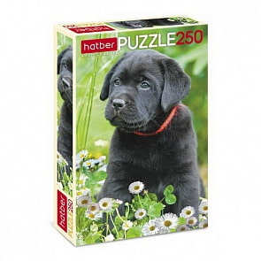 Пазлы 250 элементов – Щенок в цветах (Hatber, 250ПЗ3-04173)