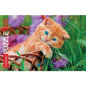 Пазл 1000 элементов – Котенок в корзинке (Hatber, 1000ПЗ2-14059)