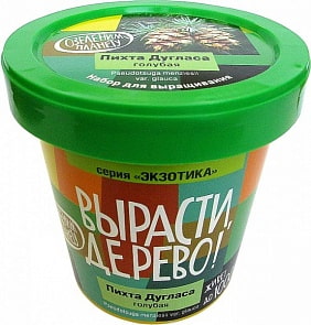 Набор для выращивания растений - Пихта Дугласа голубая (Зеленый Капитал, zk-069)