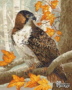 Рисование по номерам на холсте - Зоркий ястреб (Фабрика Творчества, H120)