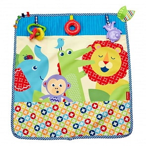 Мягкое одеяло - Пойдем на прогулку (Fisher Price, DYW52)