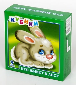 Кубики - Кто живет в лесу, 9 штук (Десятое королевство, 00678ДК)