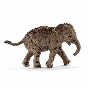 Фигурка - Азиатский слон, детеныш (Schleich, 14755k)