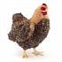 Мягкая игрушка – Курица палевая, 35 см  - миниатюра №1