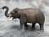 Фигурка Азиатский слон, размер XL  - миниатюра №1