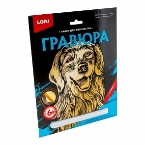 Гравюра большая Золотистый ретривер (Lori, Гр-598)