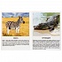 Карточки в папке – Животные Африки, 16 карточек  - миниатюра №2