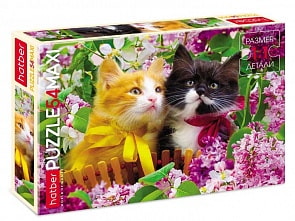 Пазлы 54 элемента Maxi - Два котенка (Hatber, 54ПЗ3-18202)