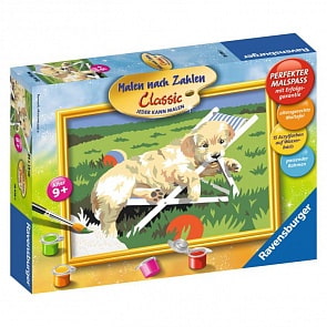 Раскрашивание по номерам Щенок Ретривера (Ravensburger, 28078st)