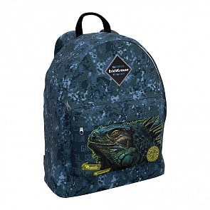 Рюкзак ErichKrauseR EasyLineR 17L Iguana (Erich Krause, 48628)