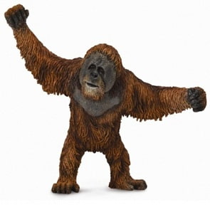 Фигурка Gulliver Collecta - Орангутан (Collecta, 88730b)