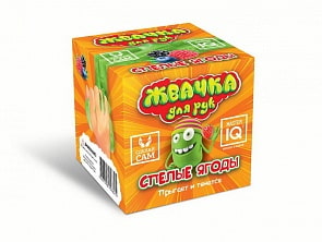 Набор Сделай своими руками - Жвачка для рук. Спелые ягоды (Дельта, 382ж)