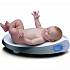 Весы Laica для взвешивания новорожденных PS3003  - миниатюра №1