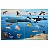 Книга серии 100 окошек для малышей - Тайны подводного мира  - миниатюра №2
