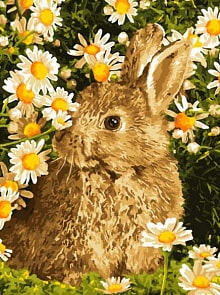Раскраска по номерам Зайчик в ромашках (Lori, Ркн/ф-168)
