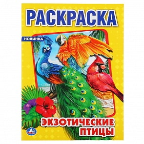 Первая раскраска А4 – Экзотические птицы (Умка, 978-5-506-04857-2)