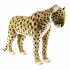 Мягкая игрушка Леопард стоящий, 54 см  - миниатюра №6