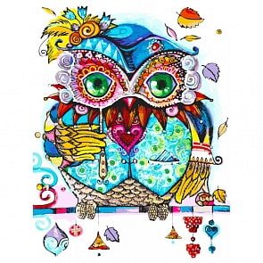 Раскраски по номерам - Венецианская сова, 30 х 40 см (Белоснежка, 292-AS)
