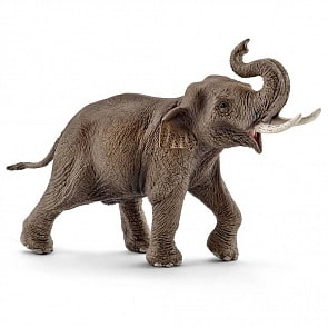 Фигурка - Азиатский слон, самец (Schleich, 14754k)