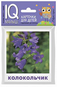 Карточки из серии Умный малыш - Что растёт на клумбе? (Айрис-Пресс, 26047АП)