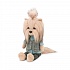 Мягкая игрушка – Собачка Lucky Andy: Хипстер, Lucky Doggy  - миниатюра №10