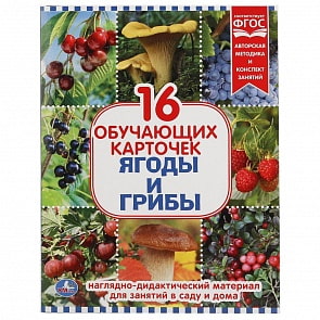 Карточки в папке - Ягоды и грибы, 16 карточек (Умка, 4690590138274)